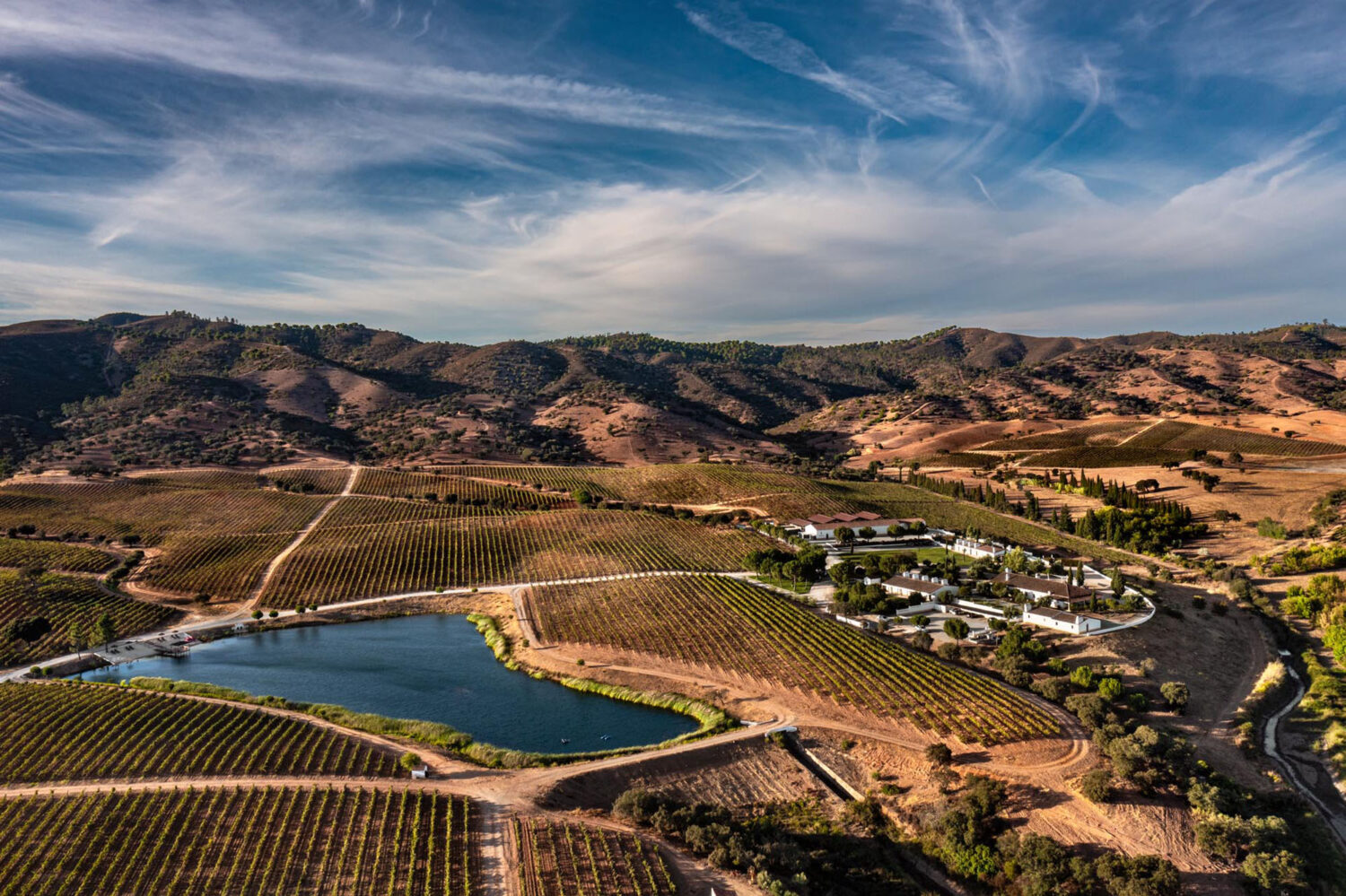 Estate Aerial View